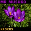 Mr Musuko