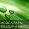 Amor ao Proximo - Música para Relaxar Maestro lyrics