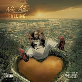 Falling Niko Allen