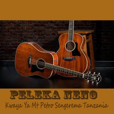 Kwaya Ya Mt Petro Sengerema Tanzania - Peleka Nini