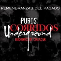 Remembranzas Del Pasado - Single - Los Buchones de Culiacan
