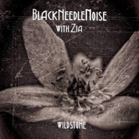 Wild Stone (feat. Zia) - Single - Black Needle Noise