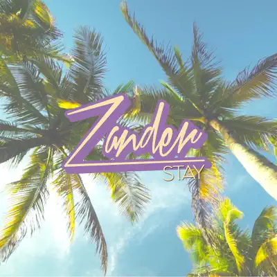 Stay - Single - Zander