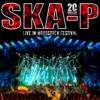 Live In Woodstock Festival (En Directo)