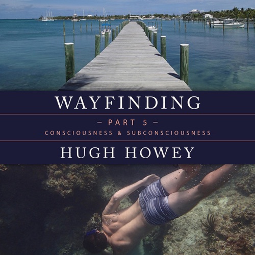 Wayfinding Part 5: Consciousness and Subconsciousness (Unabridged) cover