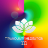 Tranquility Meditation 111: Nature Sounds, Spiritual Awakening, Relaxing Music, Zen, Healing Music, Mental Concentration - Healing Meditation Zone