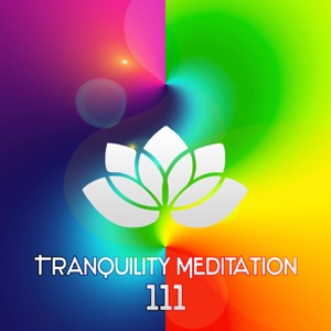 Tranquility Meditation 111: Nature Sounds, Spiritual Awakening, Relaxing Music, Zen, Healing Music, Mental Concentration