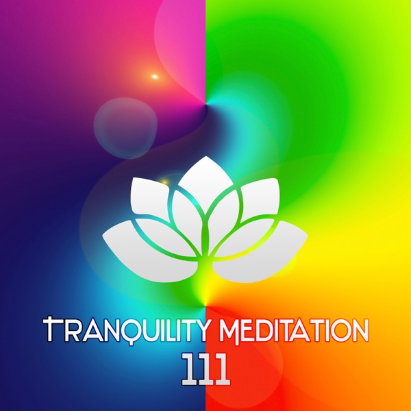 Tranquility Meditation 111: Nature Sounds, Spiritual Awakening, Relaxing Music, Zen, Healing Music, Mental Concentration