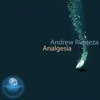 Analgesia - Single