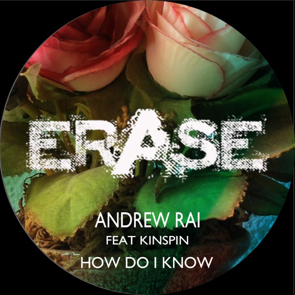 How Do I Know (feat. Kinspin) - Single