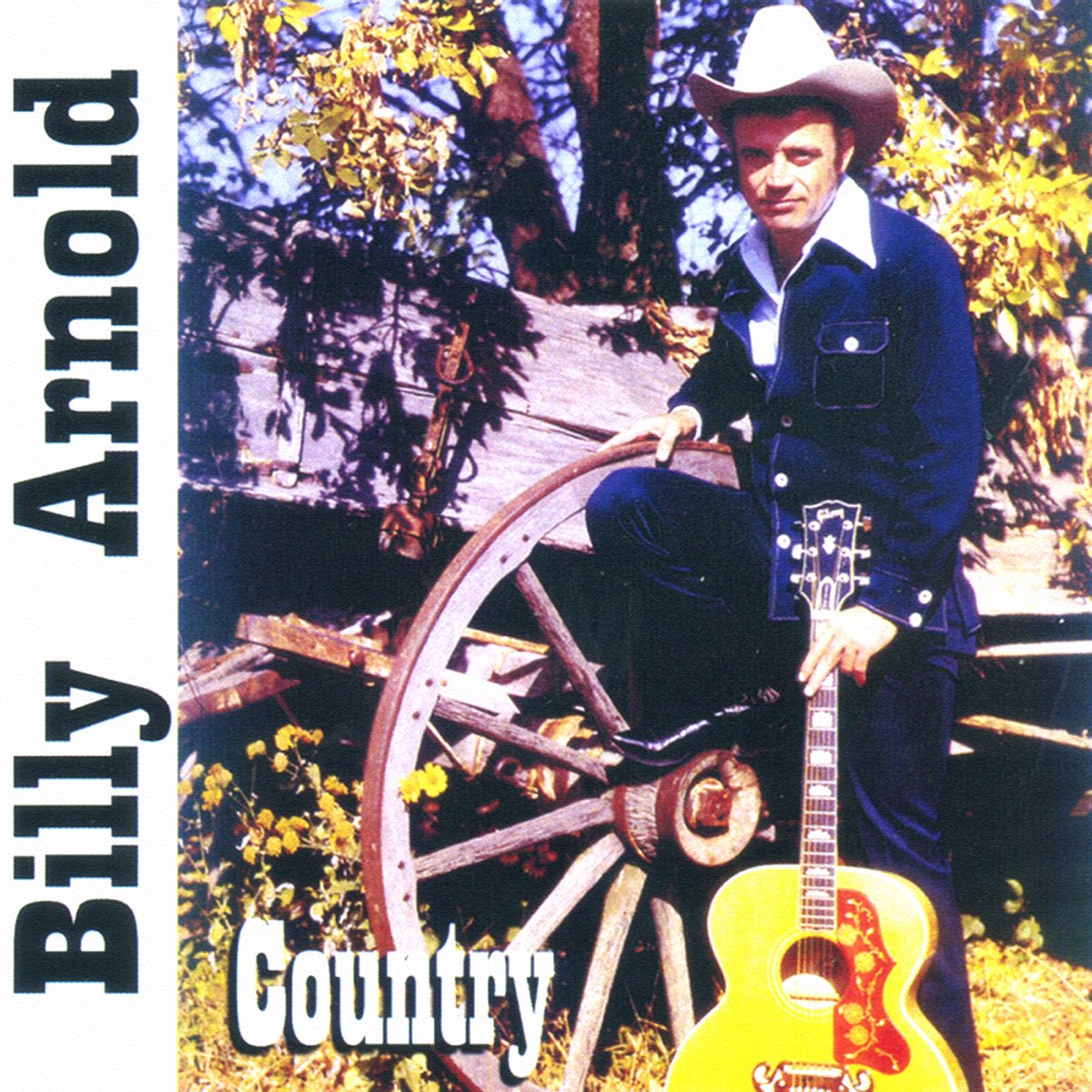 Country bill. Couldn't Stand the weather (1984).