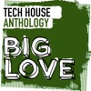 Big Love Tech House Anthology