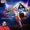 Shankar Mahadevan - Shiv Tandav Stotram artwork