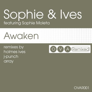 Awaken: The Remixes