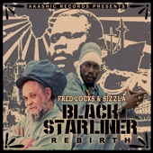 Black Star Liner Rebirth artwork