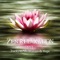 Acceptance - Zen Meditation Music Academy lyrics