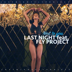 Next To You (Sllash Remix) [feat. Fly Project] - Single