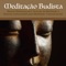 Musicas Instrumentais e Sons da Natureza - Relax Buddha lyrics