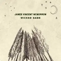 Wicked Game (Live at St Canice Cathedral, Kilkenny) - Single - James Vincent McMorrow