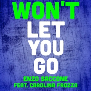 Won't Let You Go (feat. Carolina Frozza) [2016 Rework] - Single