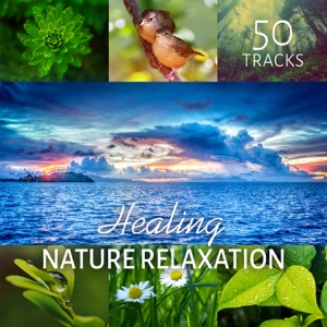 Healing Nature Relaxation 50 Tracks – Relaxing Tracks, Balancing Nature Music, Spa Music, Zen Massage, Nature Ambience