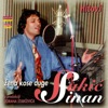 Sinan Sakic - Vetre prijatelju