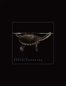收听 String Theories、观看音乐视频、阅读小传、查看巡演日期等 ！