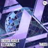 Illusionist - Single