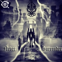Never Surrender - EP - DRS