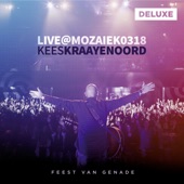 Feest Van Genade (Live) artwork