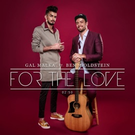 For the Love (feat. Ben Goldstein) DJ Malka