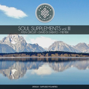 Soul Supplements Vol 3 - Single