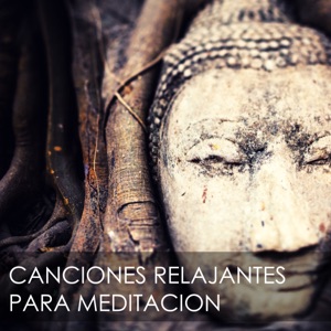 Canciones Relajantes para Meditación - Música Antiestrés para Combatir la Ansiedad