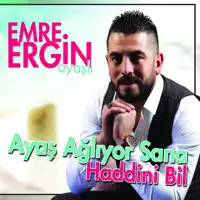 Kırık Sazım — Ayaşlı Emre Ergin