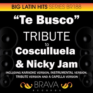 Te busco (In the Style of Cosculluela & Nicky Jam) [Karaoke Version]