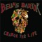 Science! - Bella's Bartok lyrics
