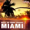 Various Artists - Miami 2016: Best of Deep House (Continuous DJ Mix)