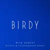 Birdy - Wild Horses (Matrix & Futurebound Remix)