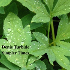 Entrance Ticket Denis Turbide