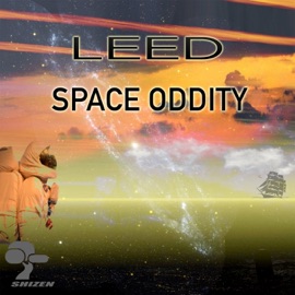 Space Oddity LEED