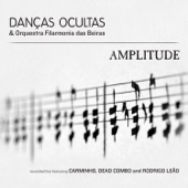 Esse Olhar (feat. Orquestra Filarmonia das Beiras) artwork