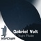 Night Mode - Gabriel Volt lyrics