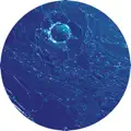 Oil on Ice (version 2)