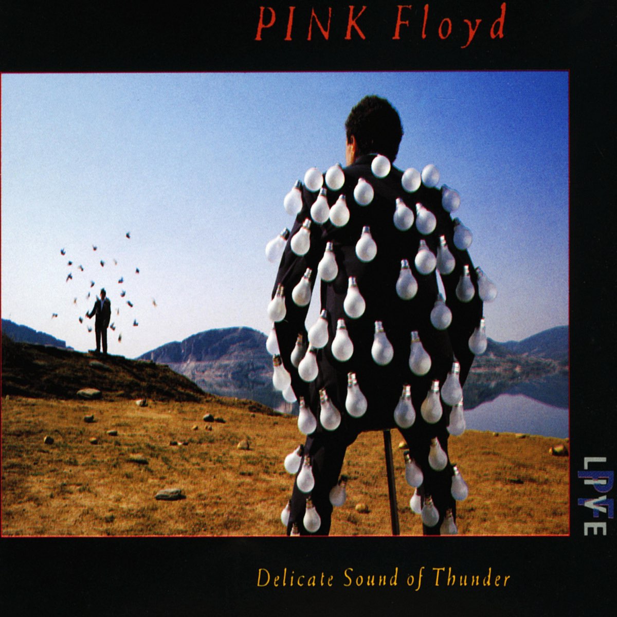 ‎Delicate Sound of Thunder (Live) Album by Pink Floyd Apple Music