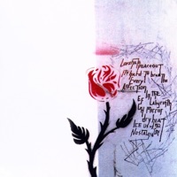 Shocking Pinks - Us Against the City