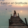 Pardon et Gratitude, musique d'ambiance pour la méditation et le bien-être - Camille Enyal