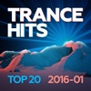 Trance Hits Top 20 2016-01, 2016