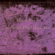 Fade into You - Mazzy Star