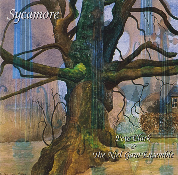 Sycamore