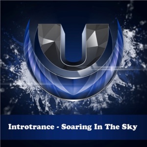 Soaring in the Sky